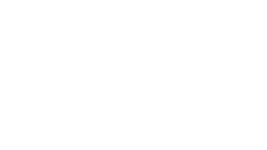 Bytecho